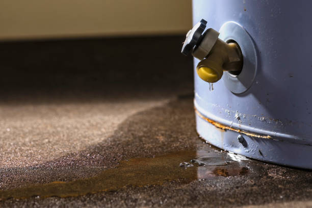 Best Water damage restoration near me  in Seaford, DE