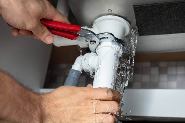 Best Fire Damage Restoration  in Seaford, DE