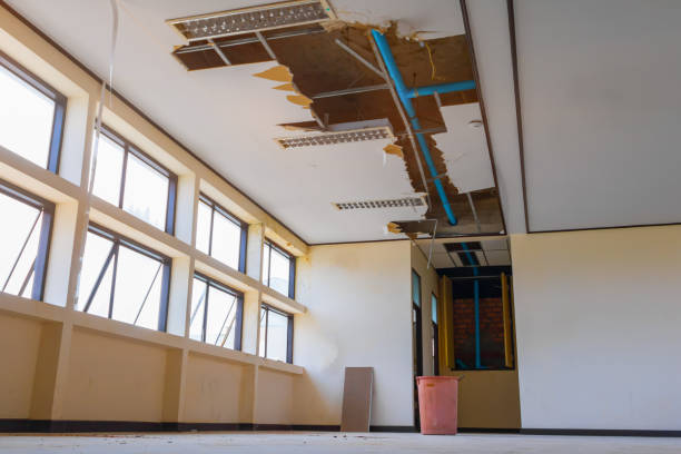 Best Carpet water damage restoration  in Seaford, DE