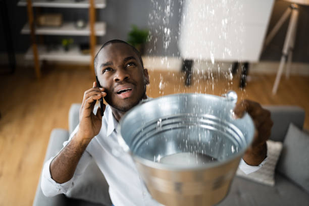 Best Carpet water damage restoration  in Seaford, DE