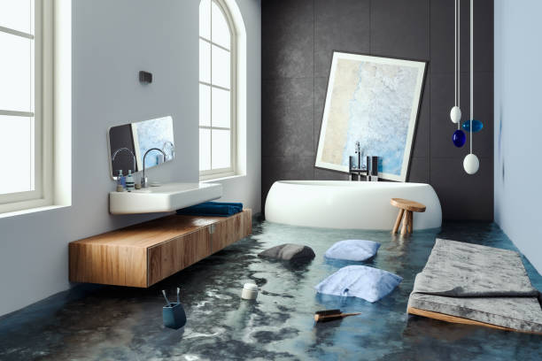 Best Flood restoration services  in Seaford, DE