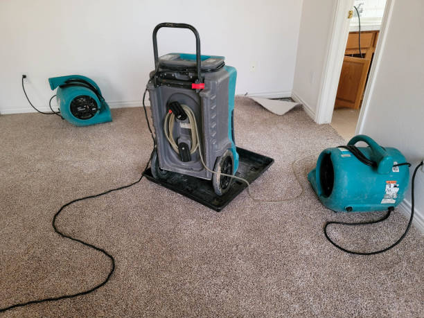 Best Emergency water damage restoration  in Seaford, DE