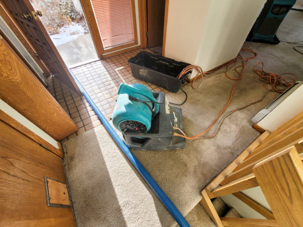 Best 24/7 water damage repair  in Seaford, DE