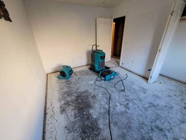 Best Flood damage cleanup  in Seaford, DE