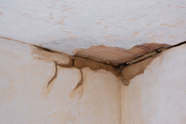 Best Local water damage restoration  in Seaford, DE