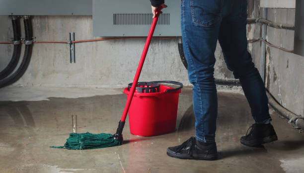 Best Residential water damage restoration  in Seaford, DE