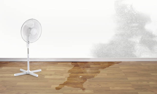 Best Residential water damage restoration  in Seaford, DE