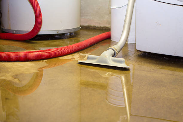 Best 24/7 water damage repair  in Seaford, DE