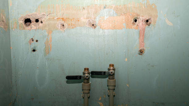Best Sewage cleanup and water damage restoration  in Seaford, DE