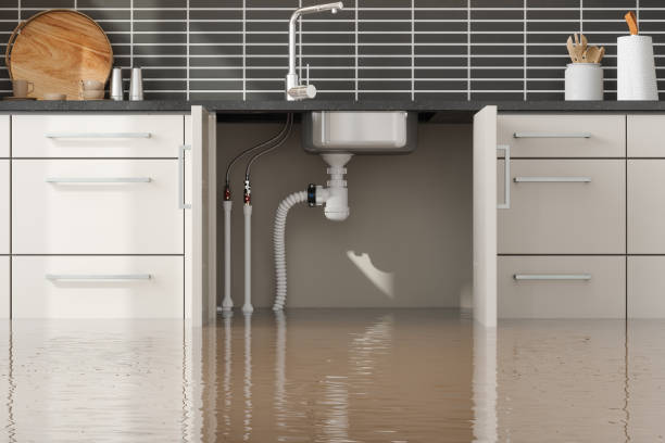 Best Water damage restoration cost  in Seaford, DE