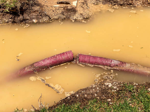 Best Water damage restoration insurance claims  in Seaford, DE