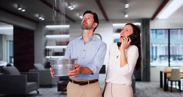 Best Water damage cleanup near me  in Seaford, DE
