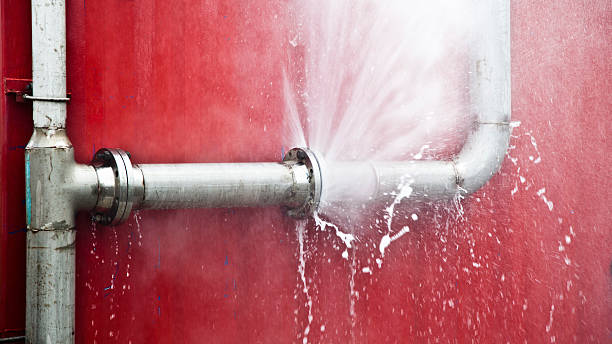 Reliable Seaford, DE Water damage restoration Solutions