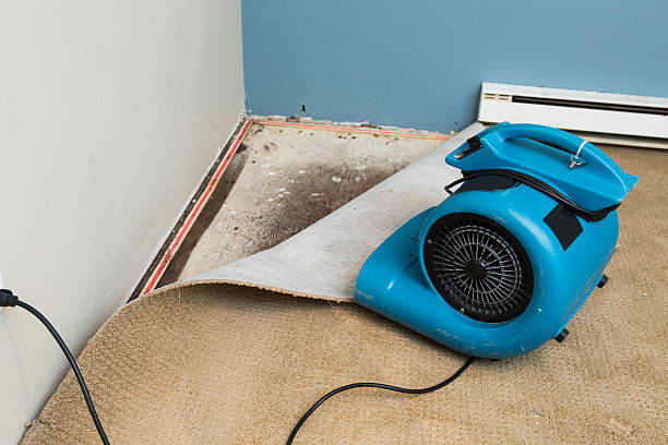 Best Water damage contractors near me  in Seaford, DE