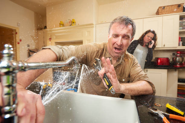 Best Flood damage cleanup  in Seaford, DE